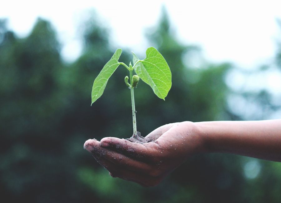 Farming, wildlife, environmental & life sciences